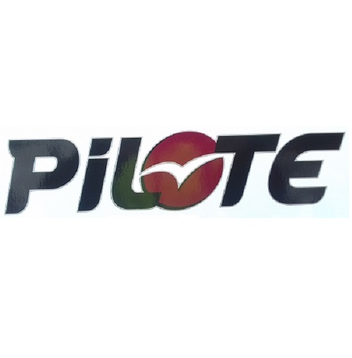 Logosticker "pilote" 2013 43cm