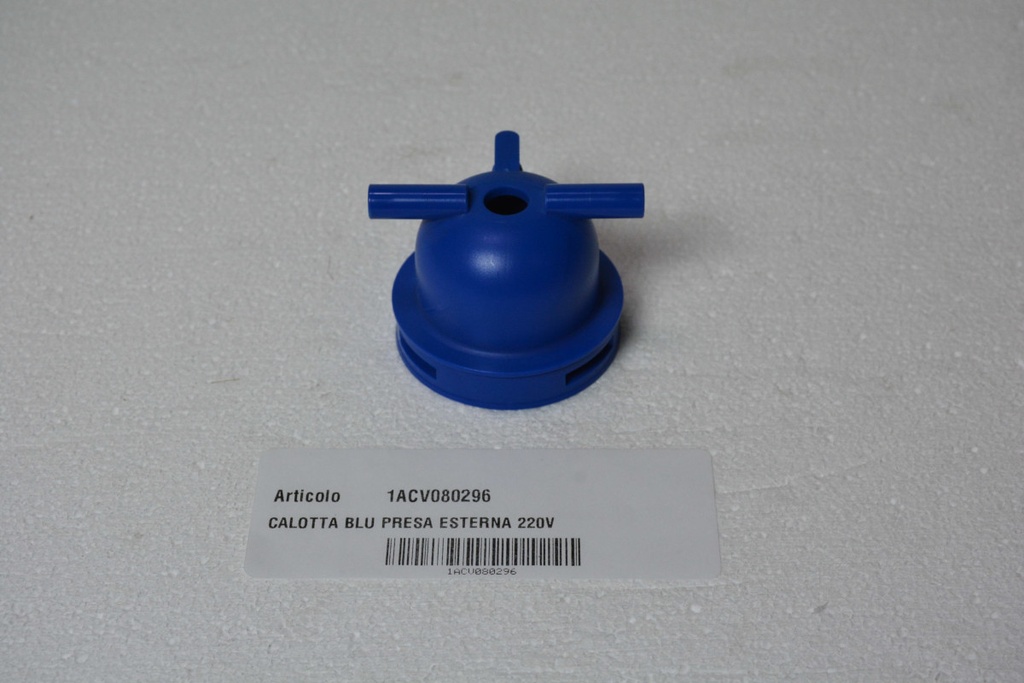 Prise bleue pour fiche extérieure 220 V